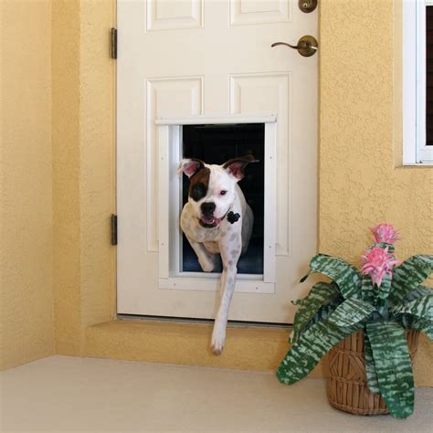 rfid dog door large